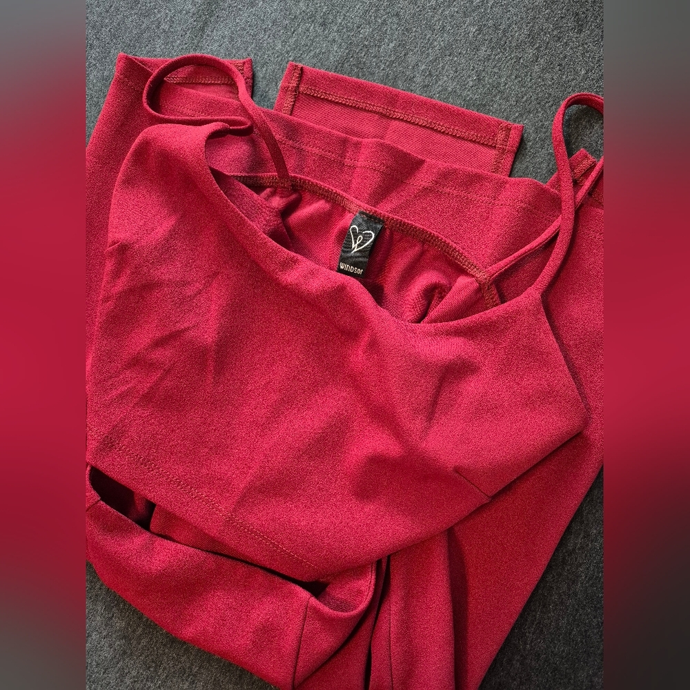 Windsor Ruby Red Mini Dress